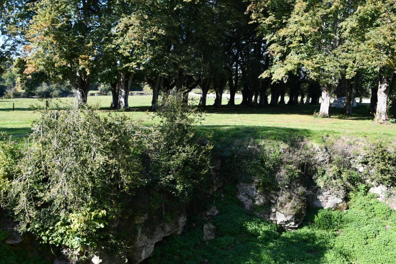 Un Chateau En Bourgogne Saincaize-Meauce Bagian luar foto