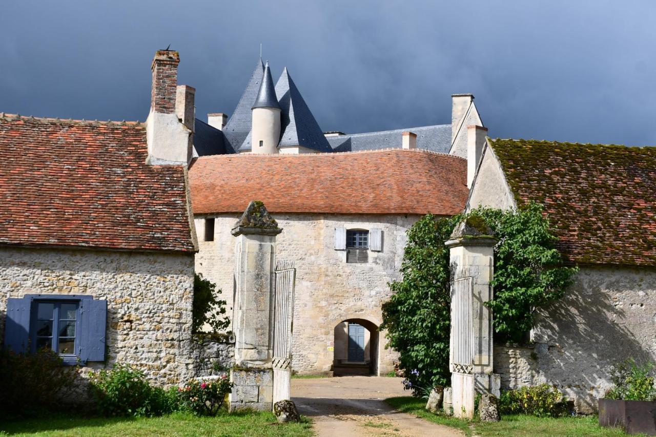 Un Chateau En Bourgogne Saincaize-Meauce Bagian luar foto