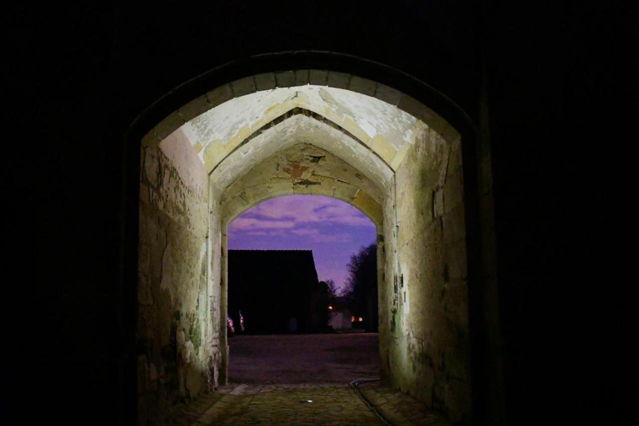 Un Chateau En Bourgogne Saincaize-Meauce Bagian luar foto